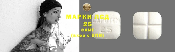 амфетамин Белокуриха