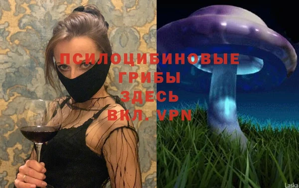 молекула духа Беломорск