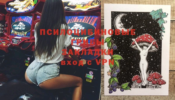 амфетамин Белокуриха