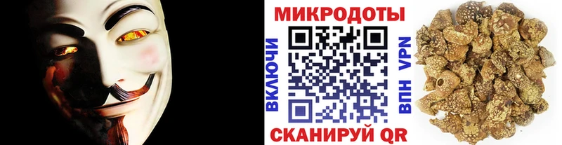 Галлюциногенные грибы MAGIC MUSHROOMS Санкт-Петербург